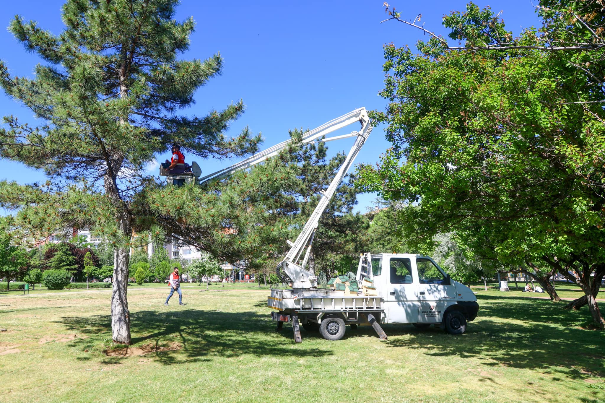 Kuş1