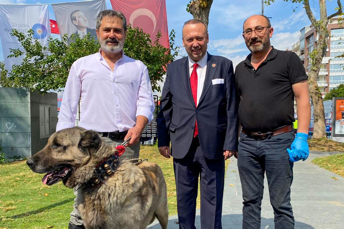 Yörük Festivali (2)
