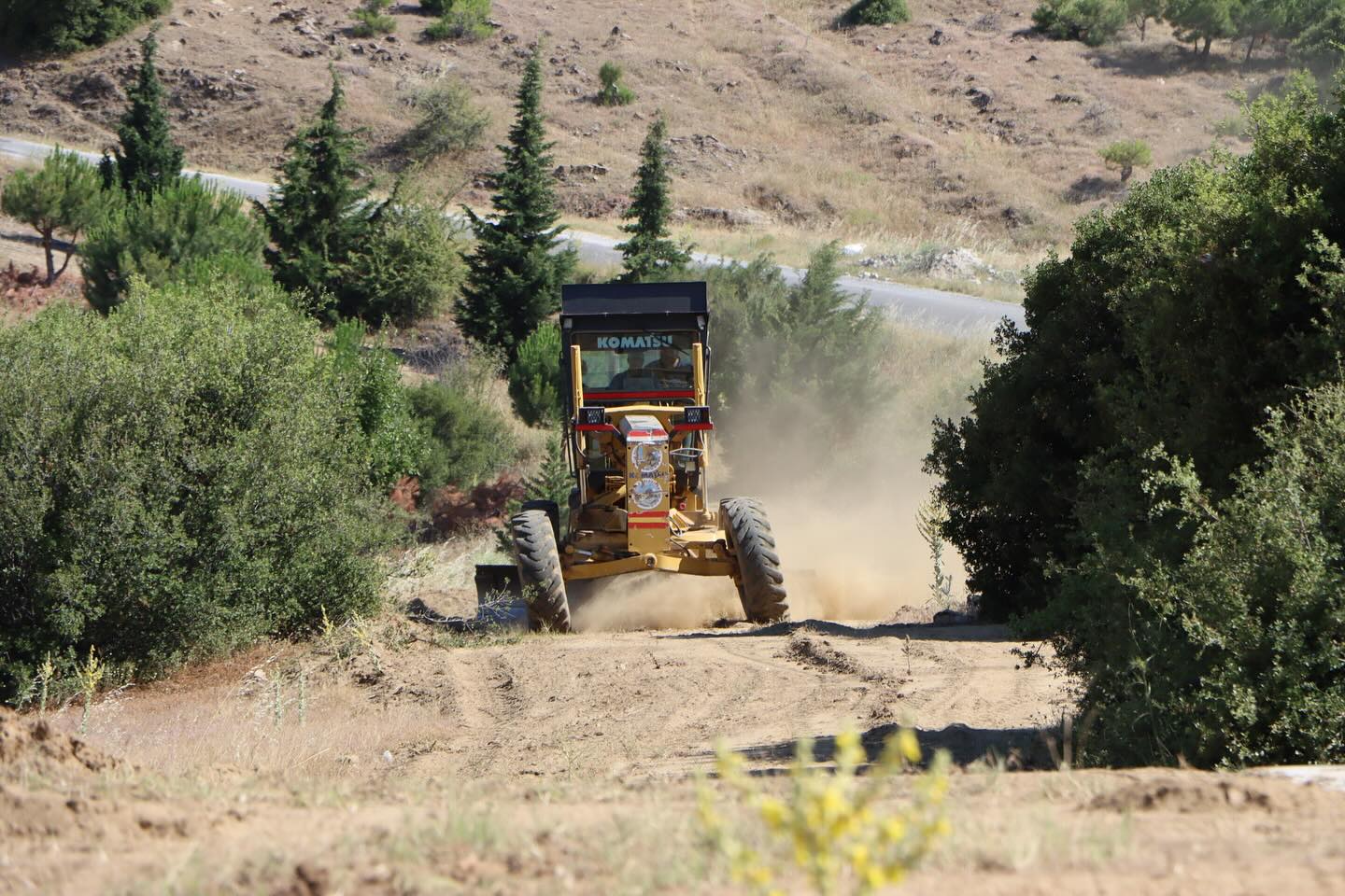 Barınak (1)