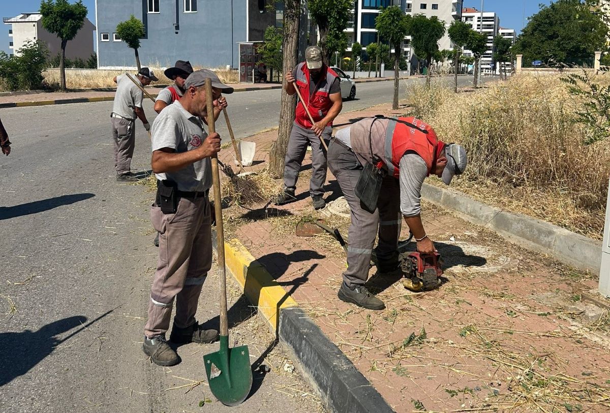 Belediye Temizlik (2)