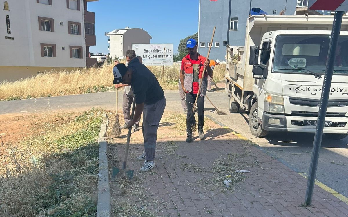 Belediye Temizlik (3)
