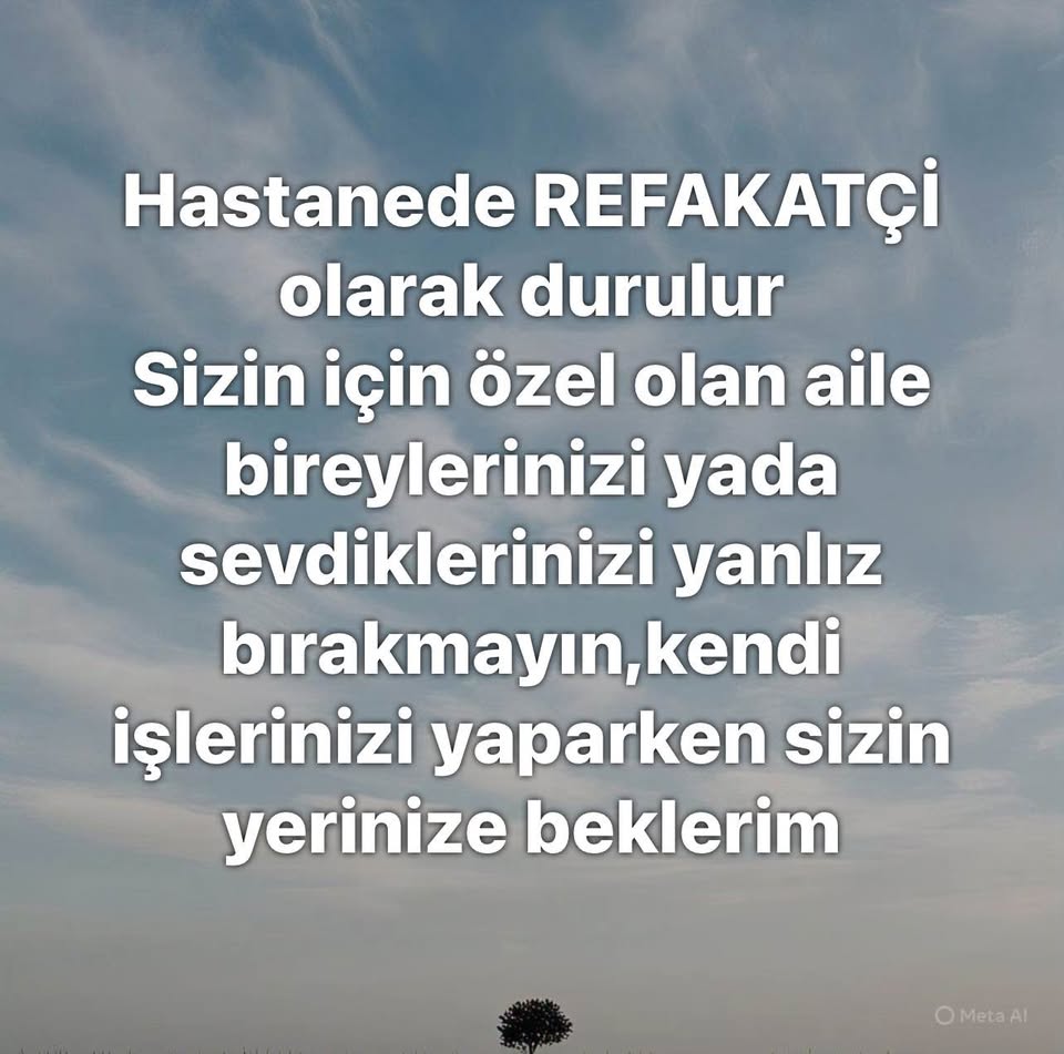 Whatsapp Image 2025 06 12 At 11.27.40