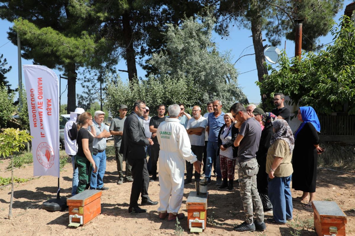 Arı Destek (2)