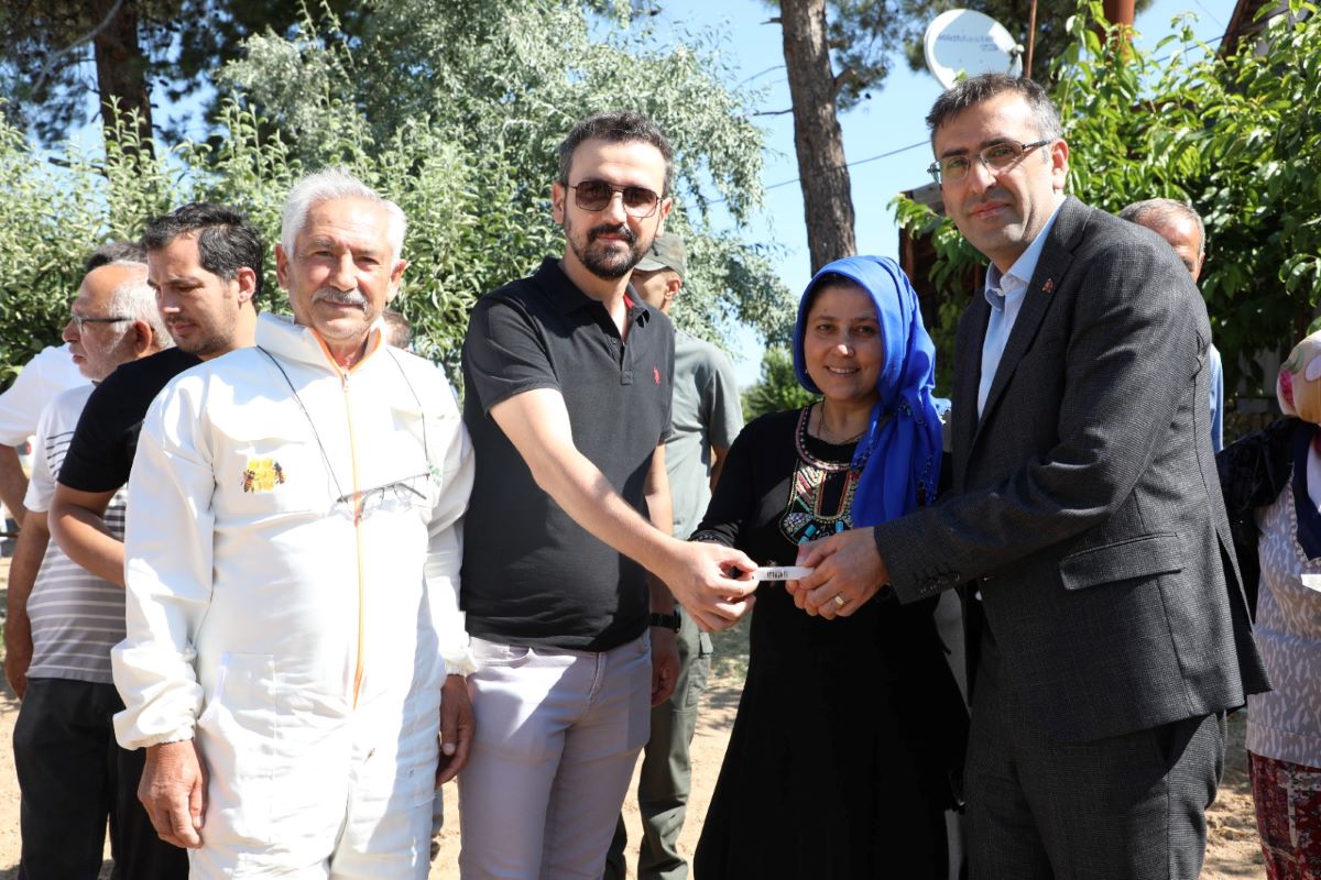 Arı Destek (3)