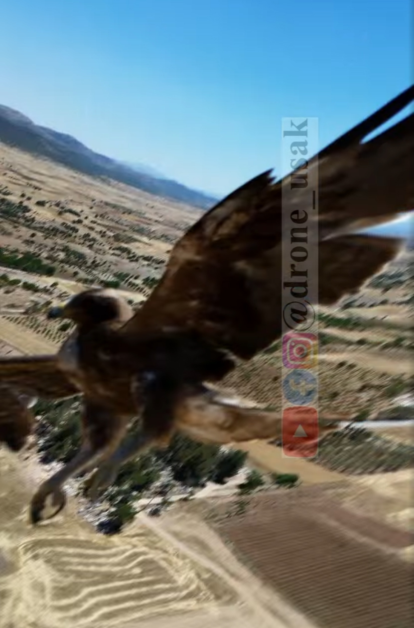 Drone Şahin1