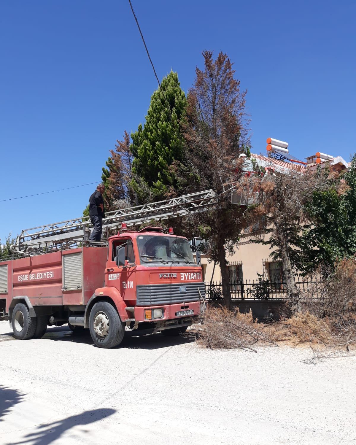 Eşme (3)-8