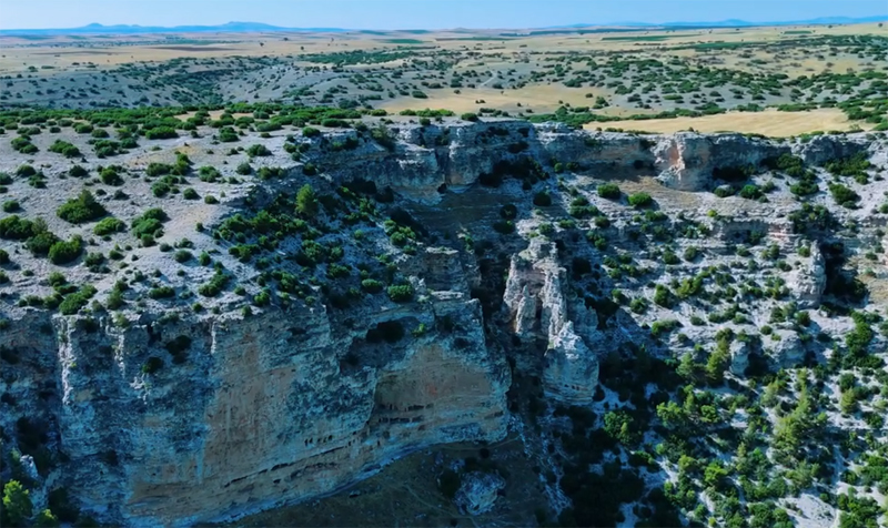 Pepuza-3