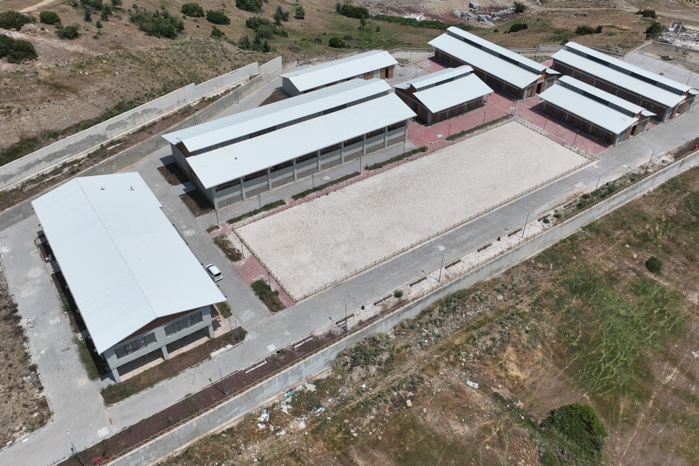 Tesis 4