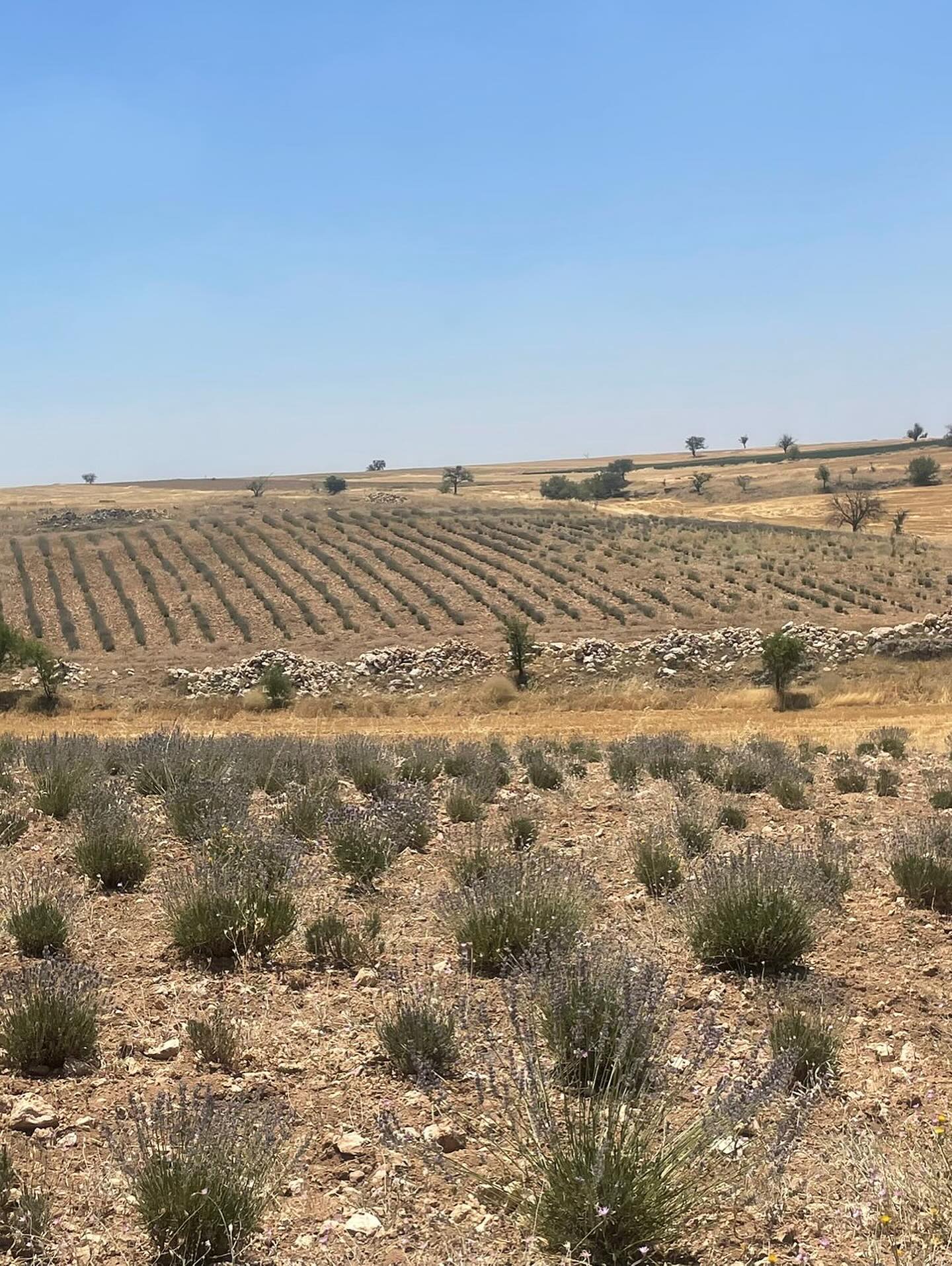 Uşaklılar Vakfı (1)