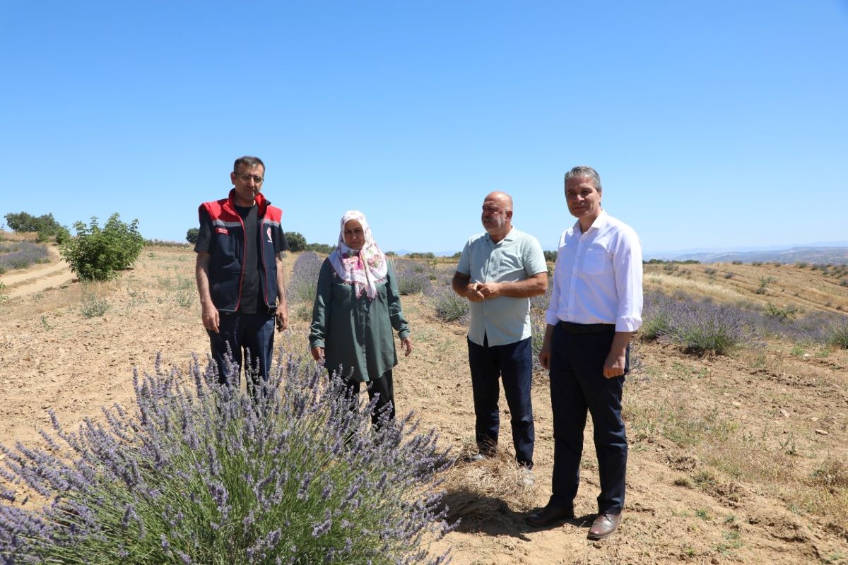 Ziyaret (1)-106