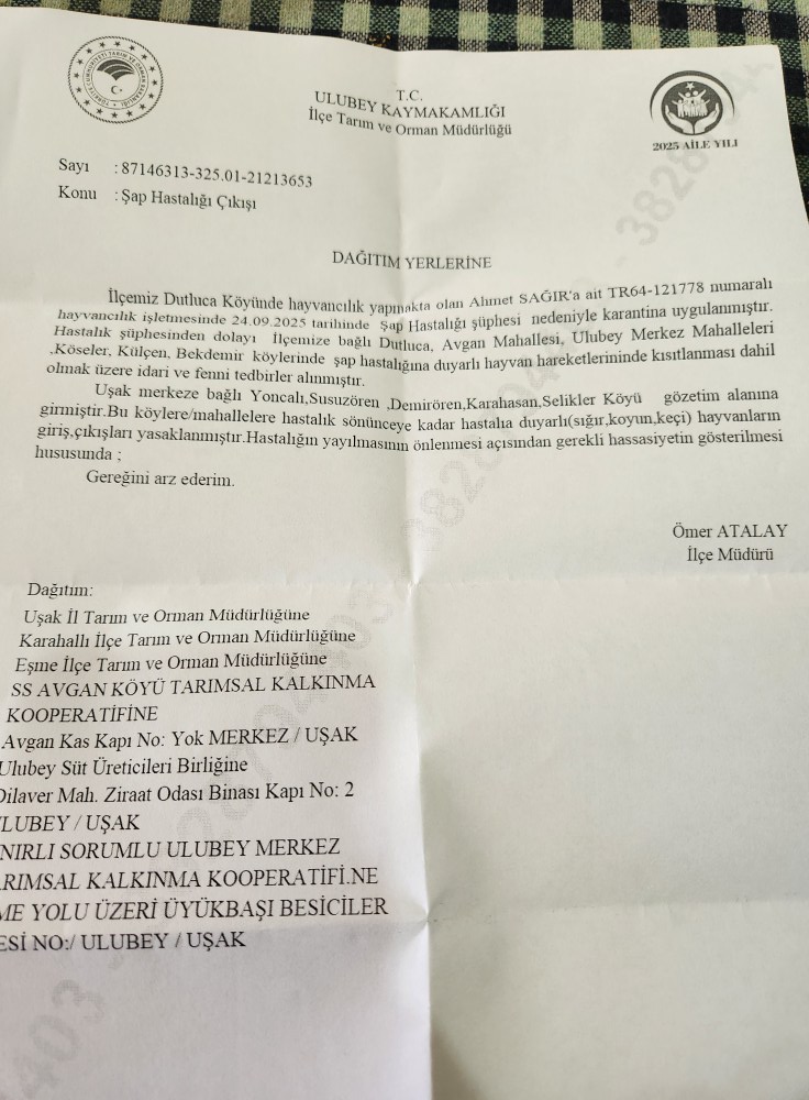 554838742 2478411772544595 1303751645384034175 N