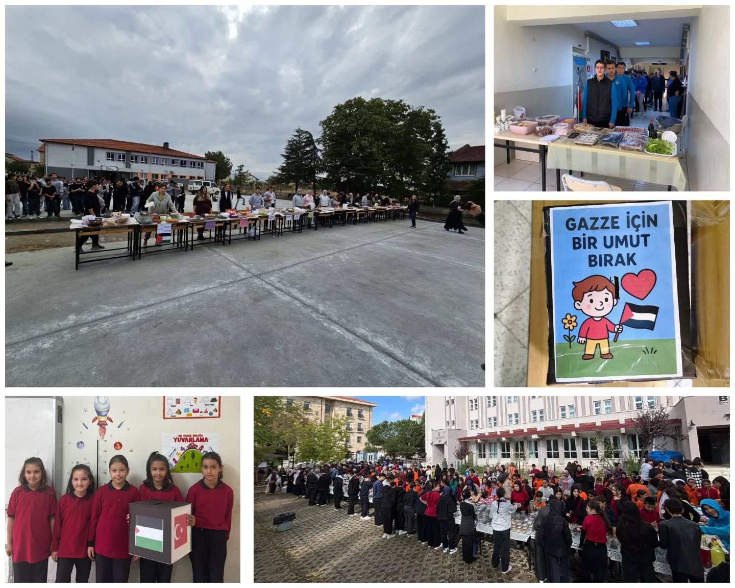 569758154 18141867775431364 8225544317956982277 N