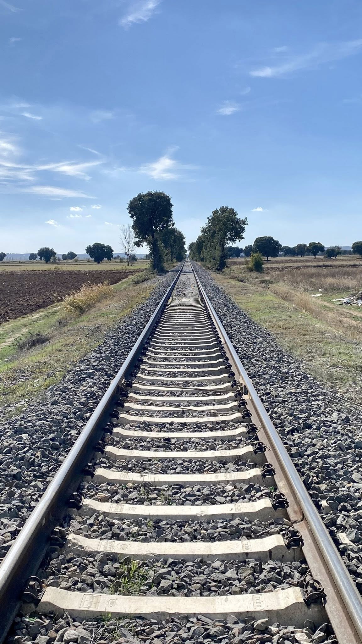 571279469 10163875282014273 2634402059747588427 N