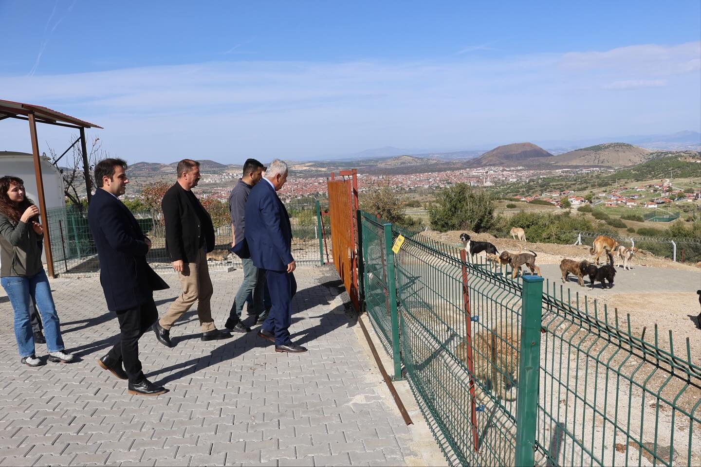 572133055 18529851895007652 9045972603415336257 N