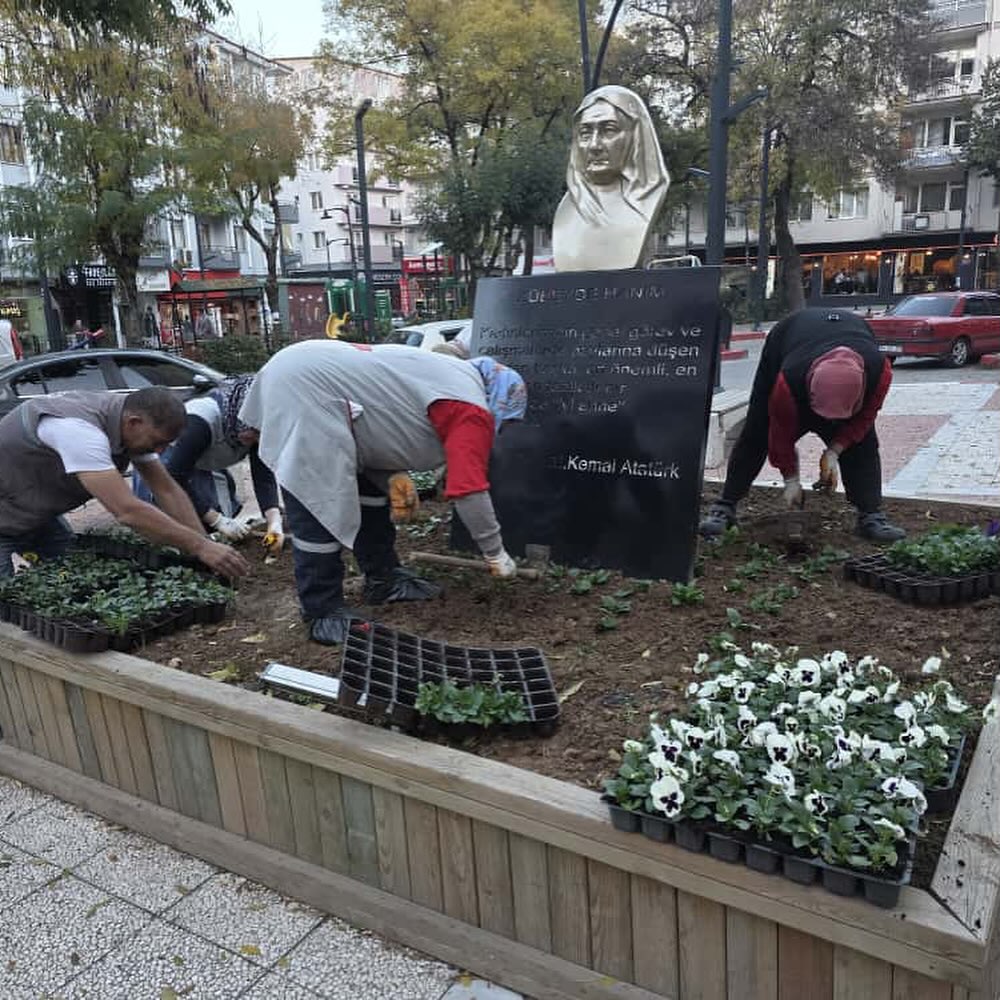 572245113 18543544585058634 3445241832056284521 N