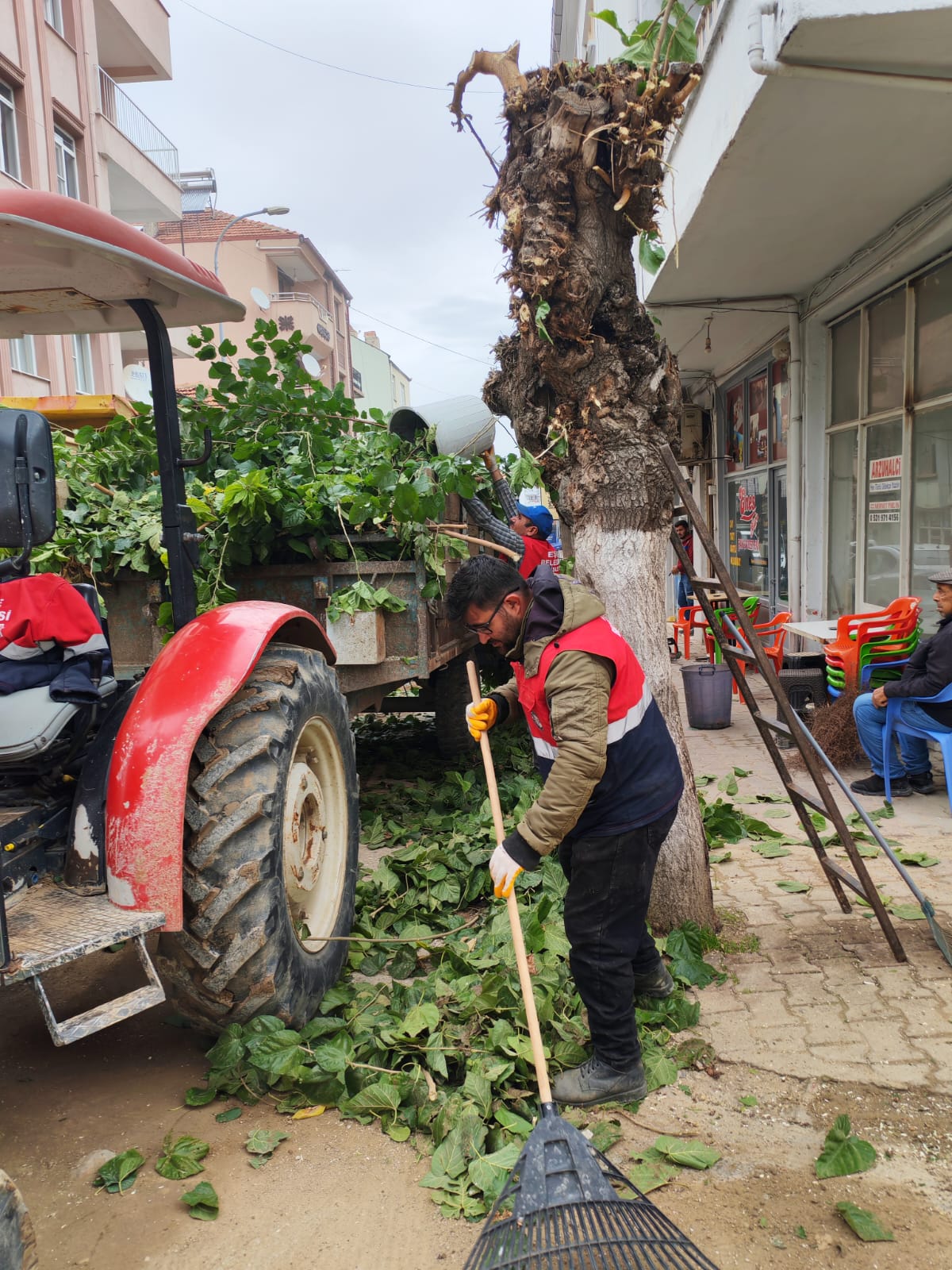 572520141 1148602860789883 340235307300468066 N