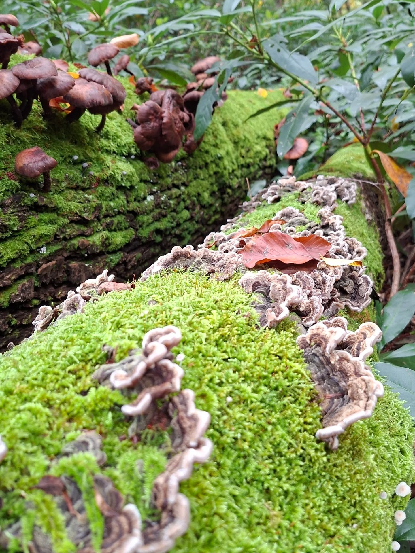 573739743 18327693523213190 6165159204931625841 N