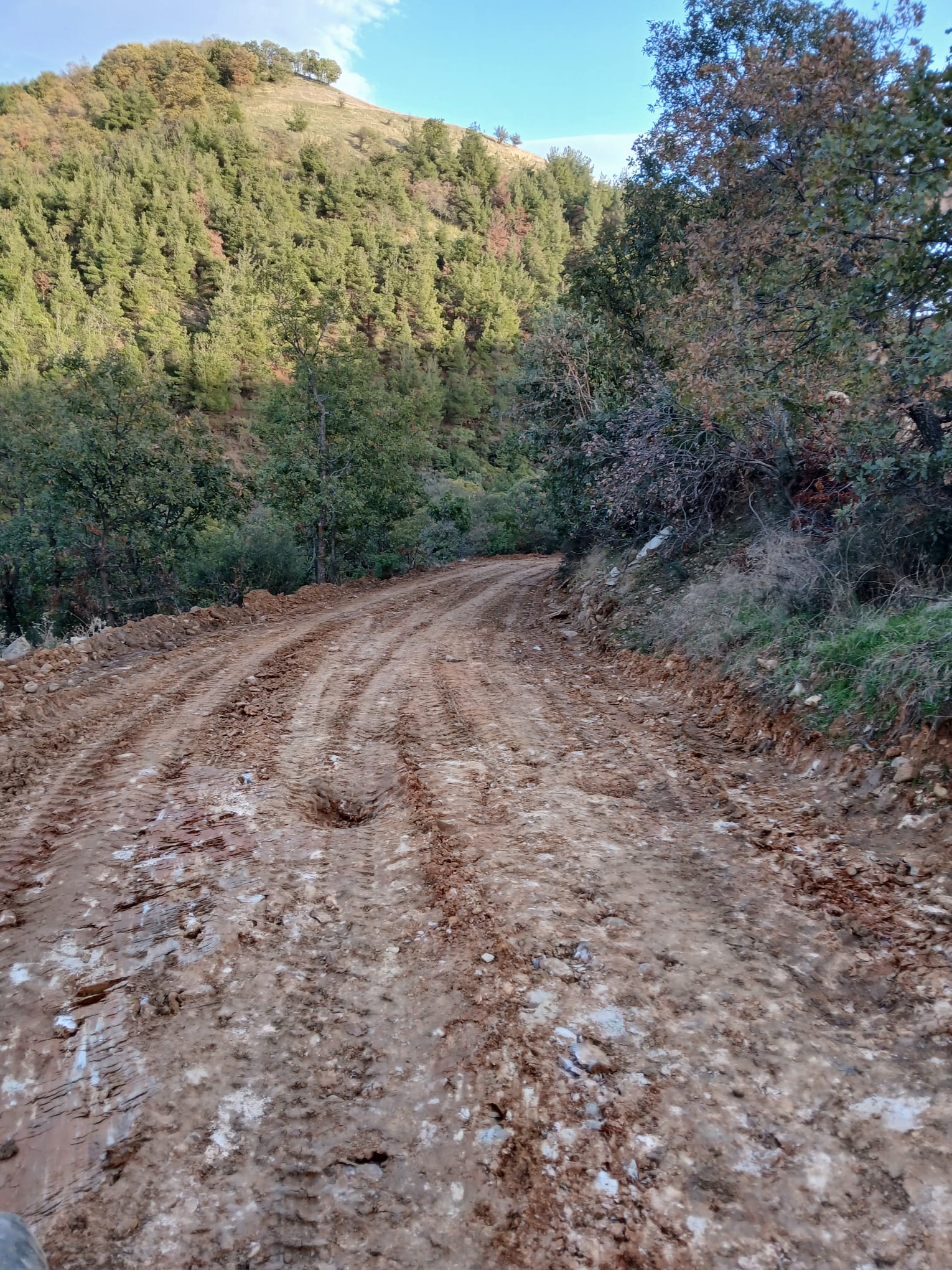 574071305 796018503196308 229767031942388869 N