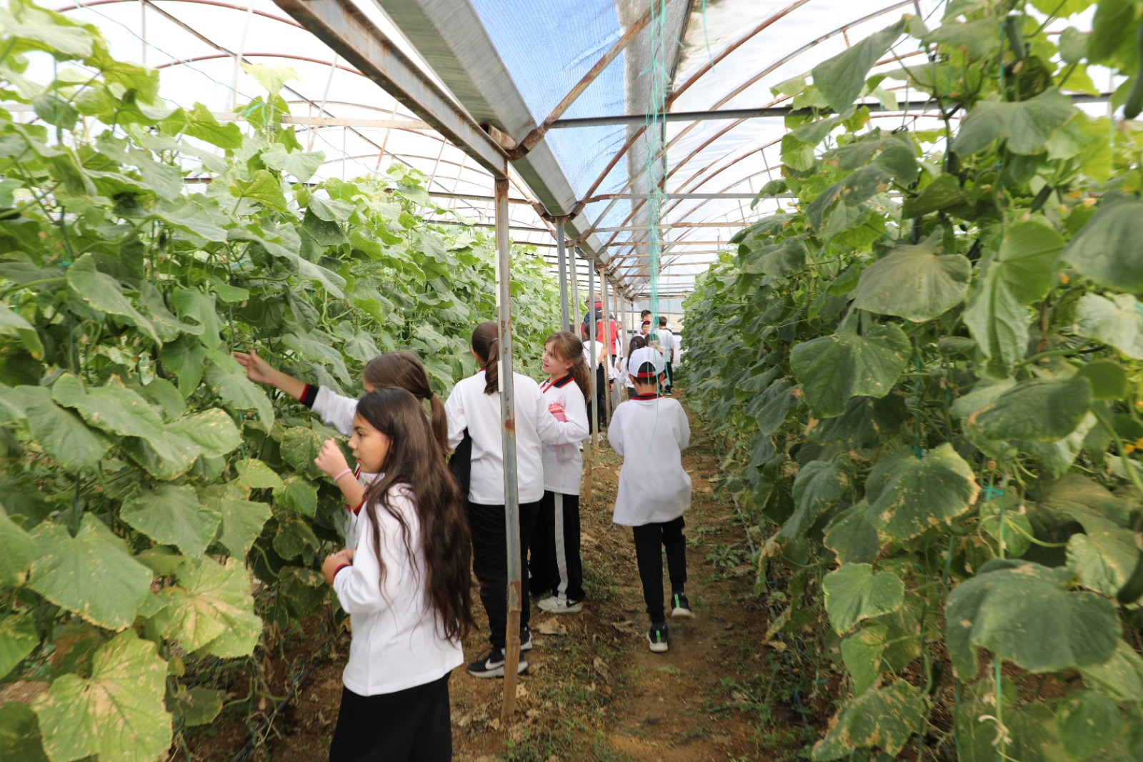 574284145 122182353470544242 3328603280556614832 N