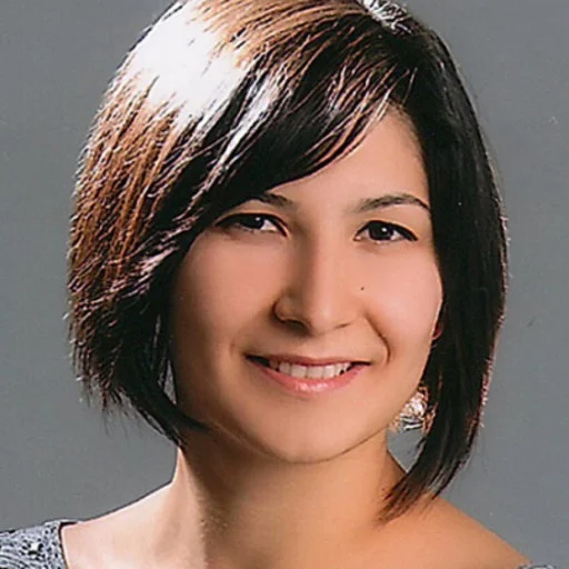 Bilgen Arikan