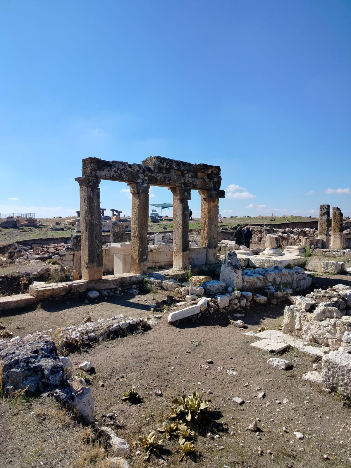 Photo 2025 10 17 09 58 25 1 Uk9Fwxehsu