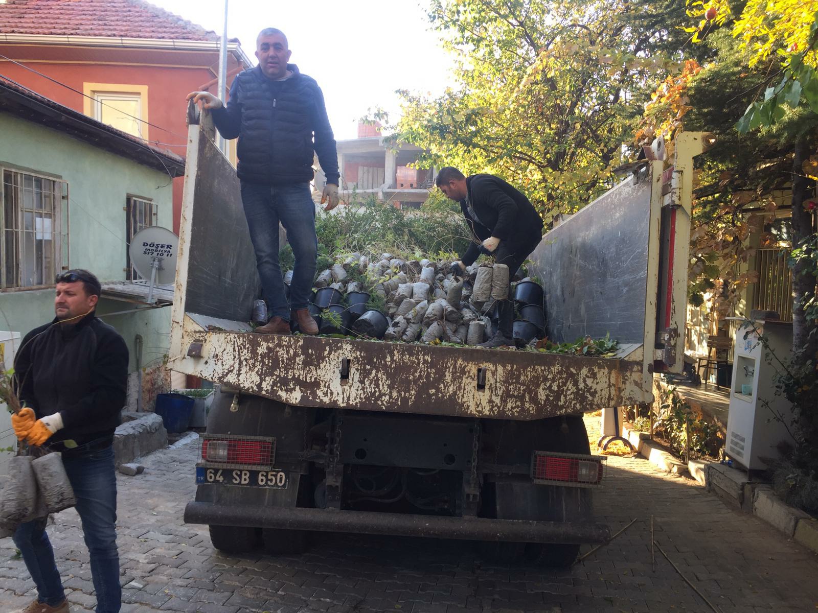 471319053 1043719534464898 1540481445015745267 N