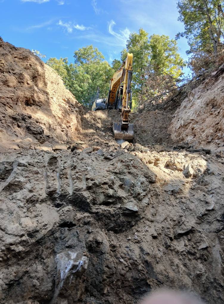 561373166 4220407261582271 4098011032428961654 N