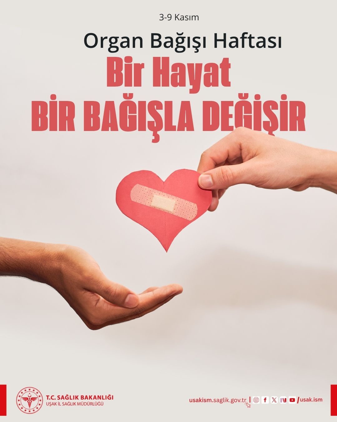 572483278 18290161537287272 2332670413858131157 N