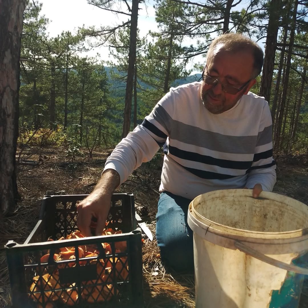 572600557 18539278192017544 8439068051198586508 N