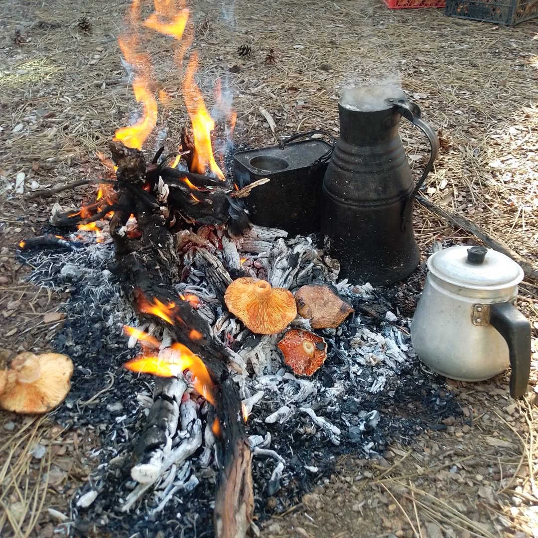 573132481 18539278201017544 4295138644824801046 N