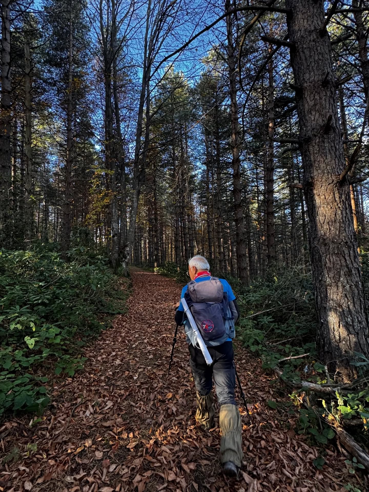 574446321 18328510294213190 8595747844190397917 N