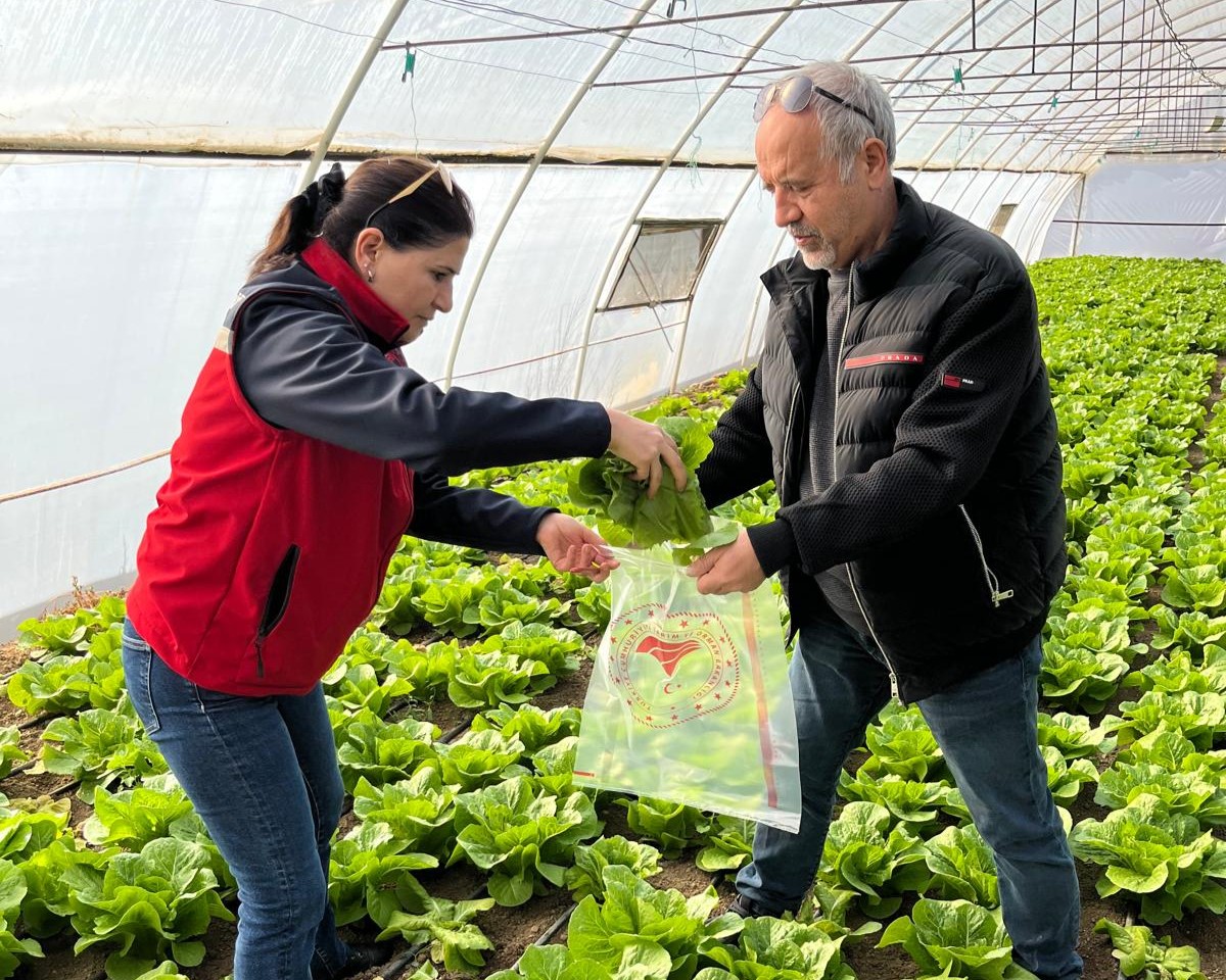 574599593 122183175656544242 2413725280520823642 N