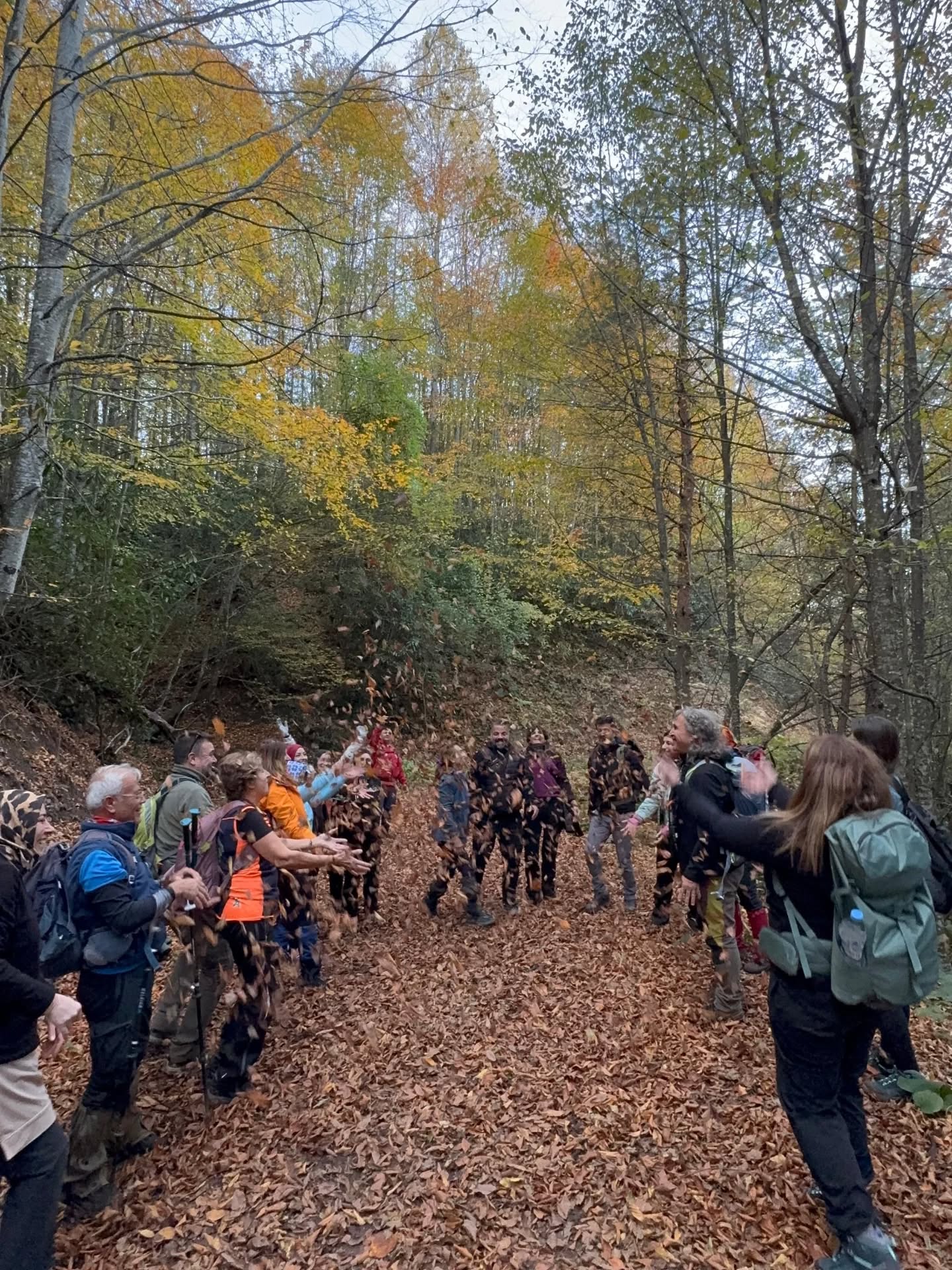 575299063 18328510357213190 8383071429784993848 N