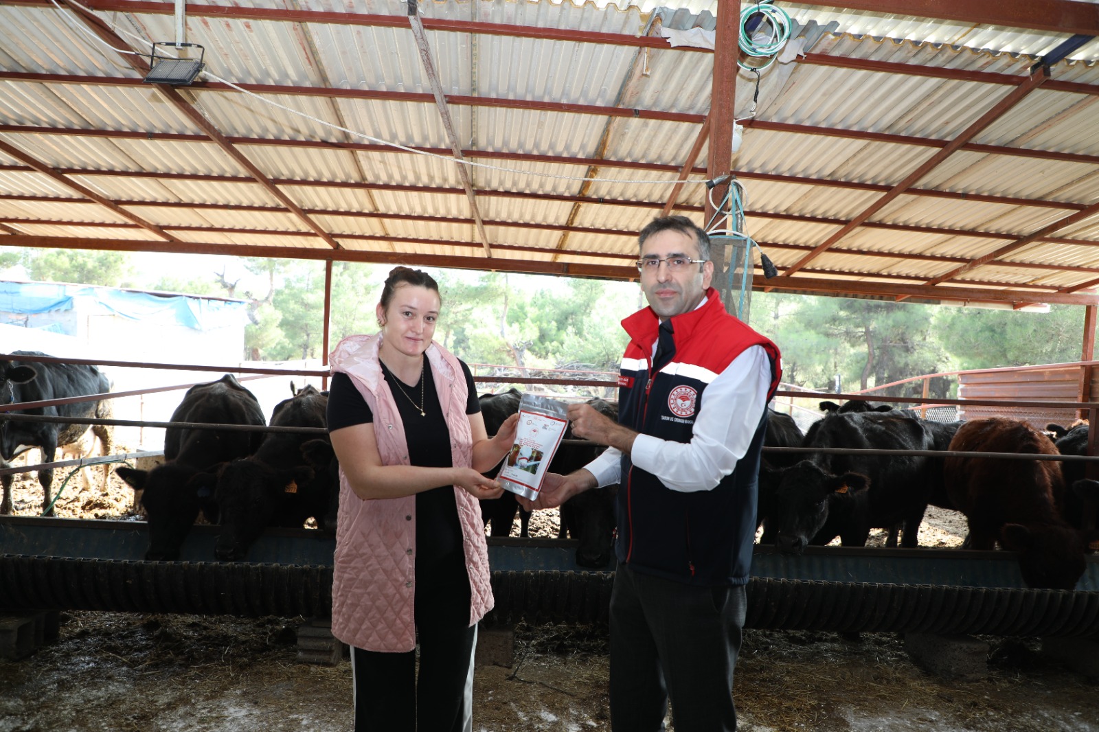 576767619 122183316596544242 1036898152112720487 N