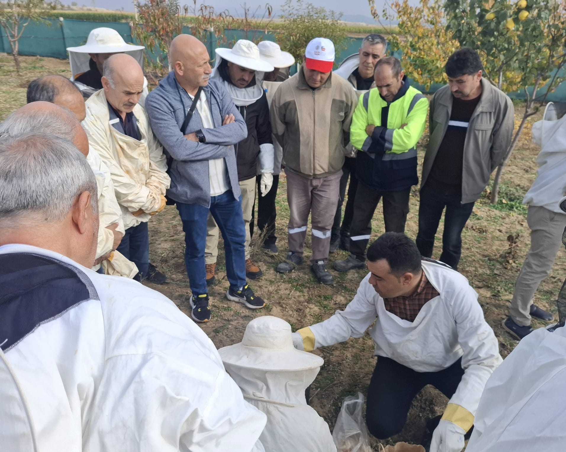 576804545 122183322704544242 1545782522025124536 N