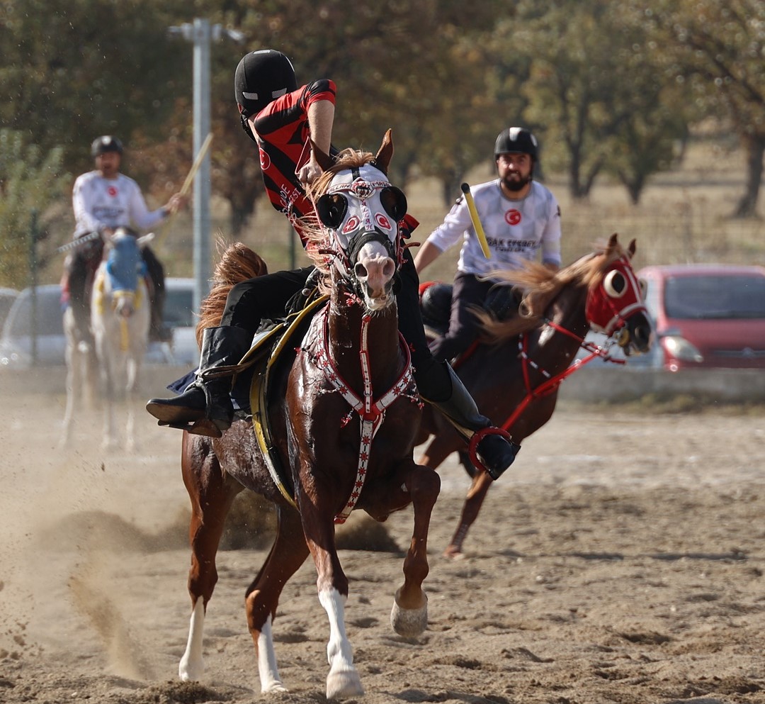 579688751 17997276209841579 6089412142907510448 N