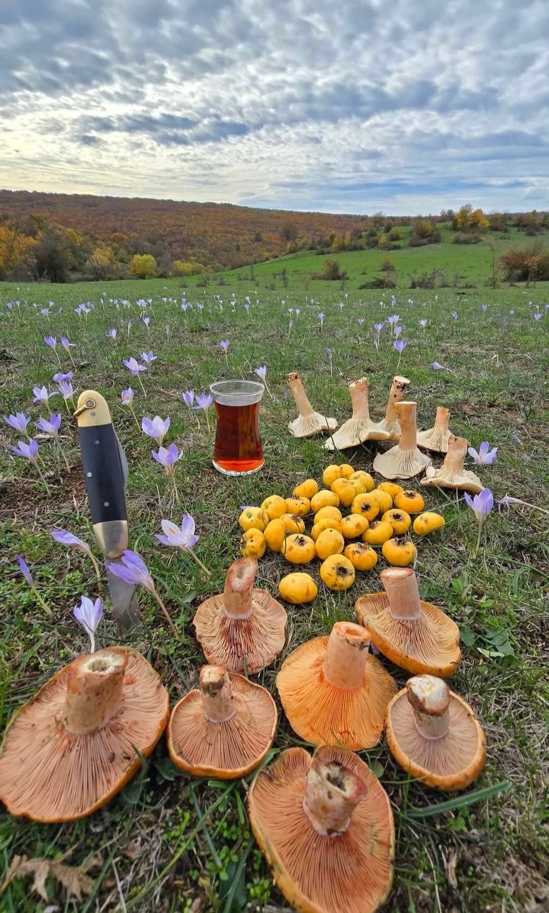 580482394 1270016745171770 6344567827478147205 N