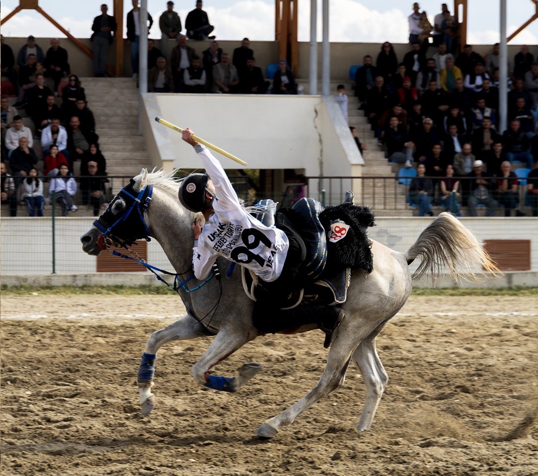 580826895 17997276191841579 7573333406936105559 N