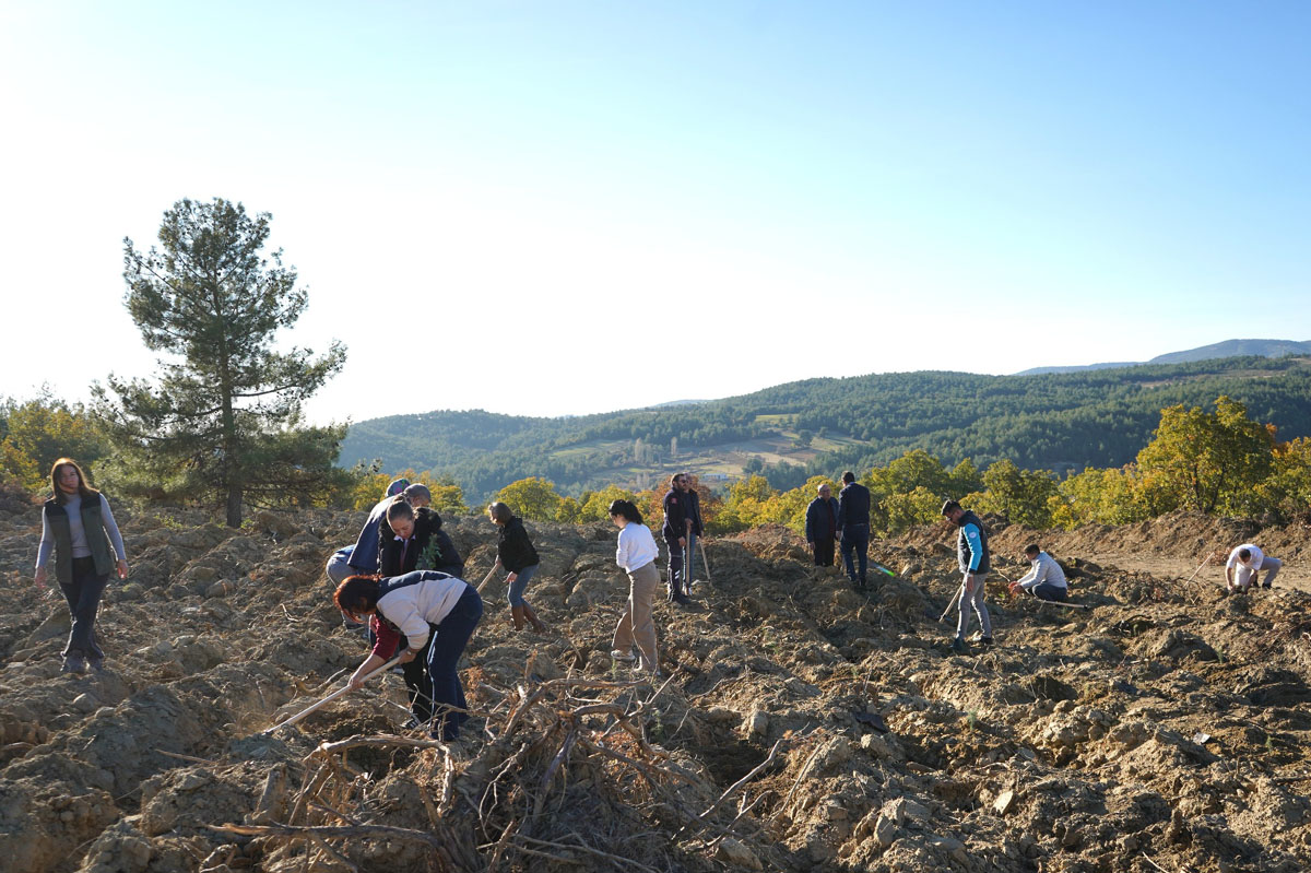 581052727 18292843573287272 2507871245576713159 N