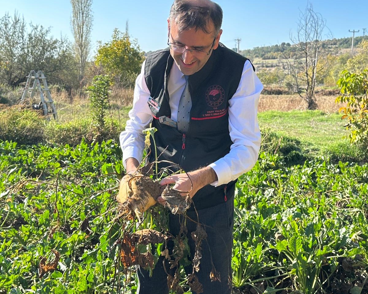 581798657 122184426158544242 4272679449858816999 N