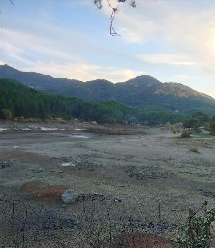 583119475 25330440889908649 4133253393528822169 N