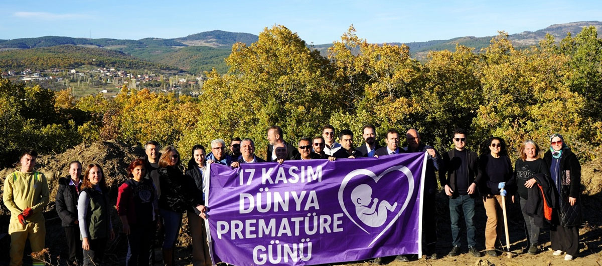 584313648 18292843534287272 8701328158526517955 N