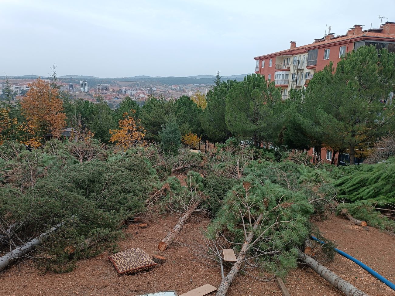 586202459 3944950889148112 4581731879027063837 N