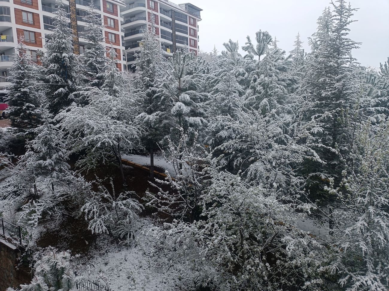 586419489 3943912469251954 199069238271869428 N