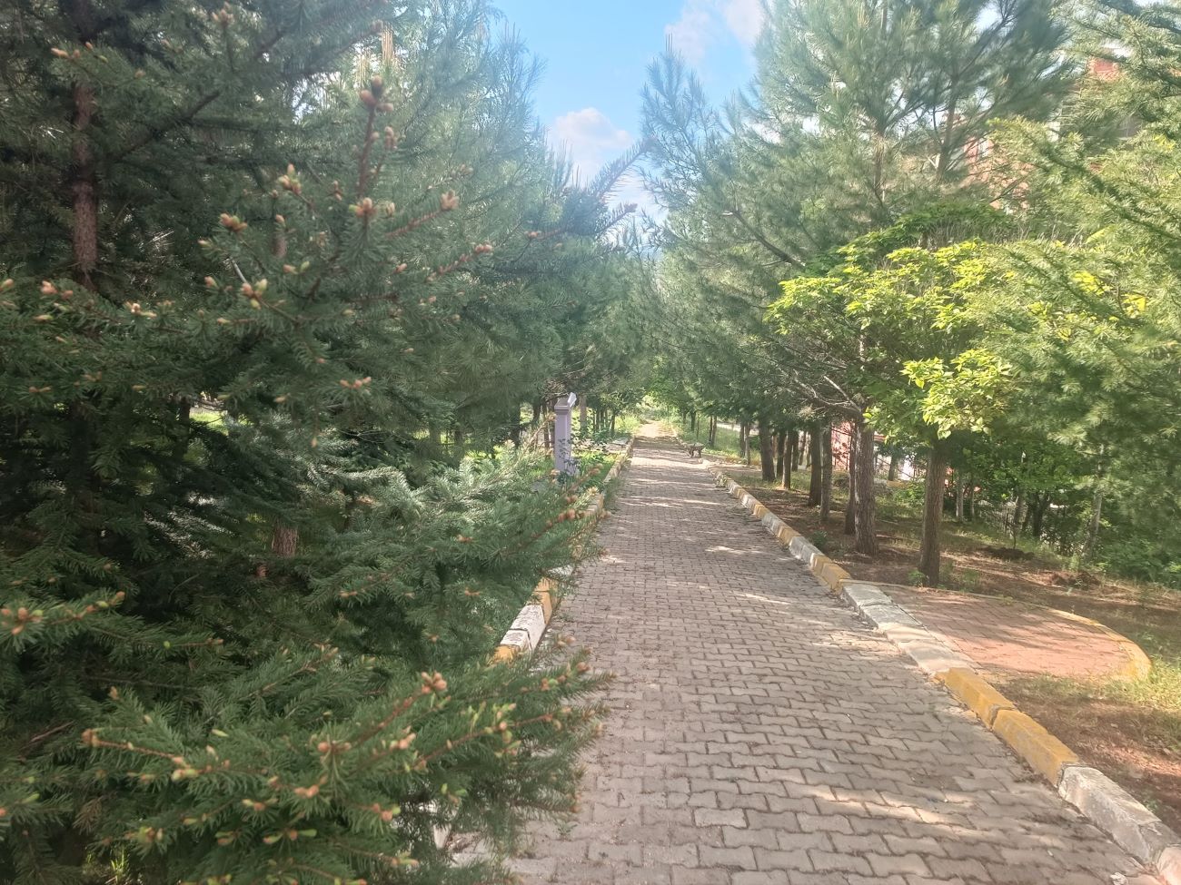 586576374 3943915459251655 3226756938785706423 N