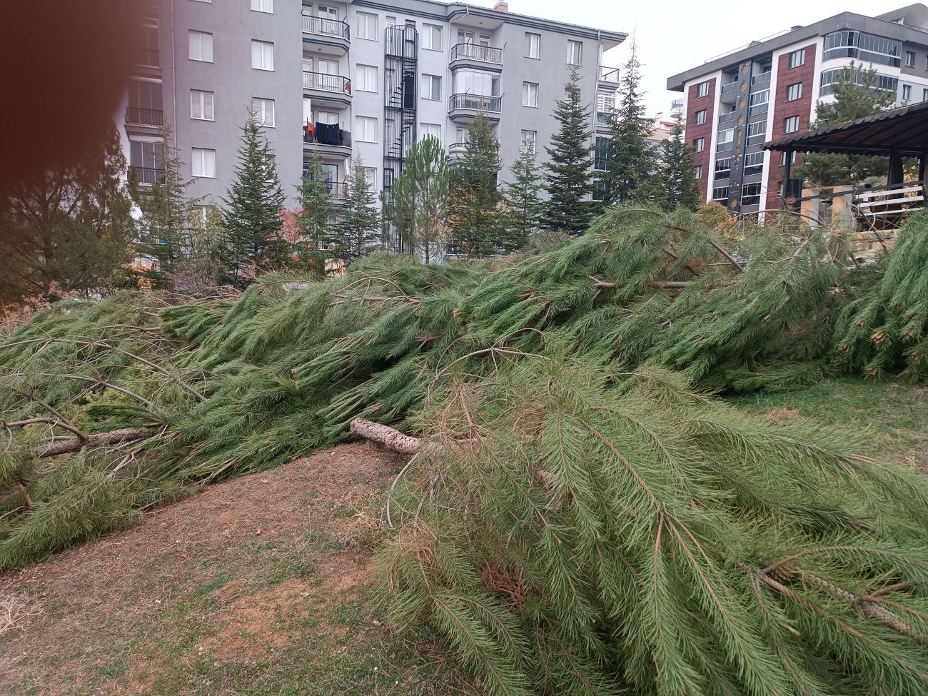 586724357 3944949635814904 5578679385746530416 N