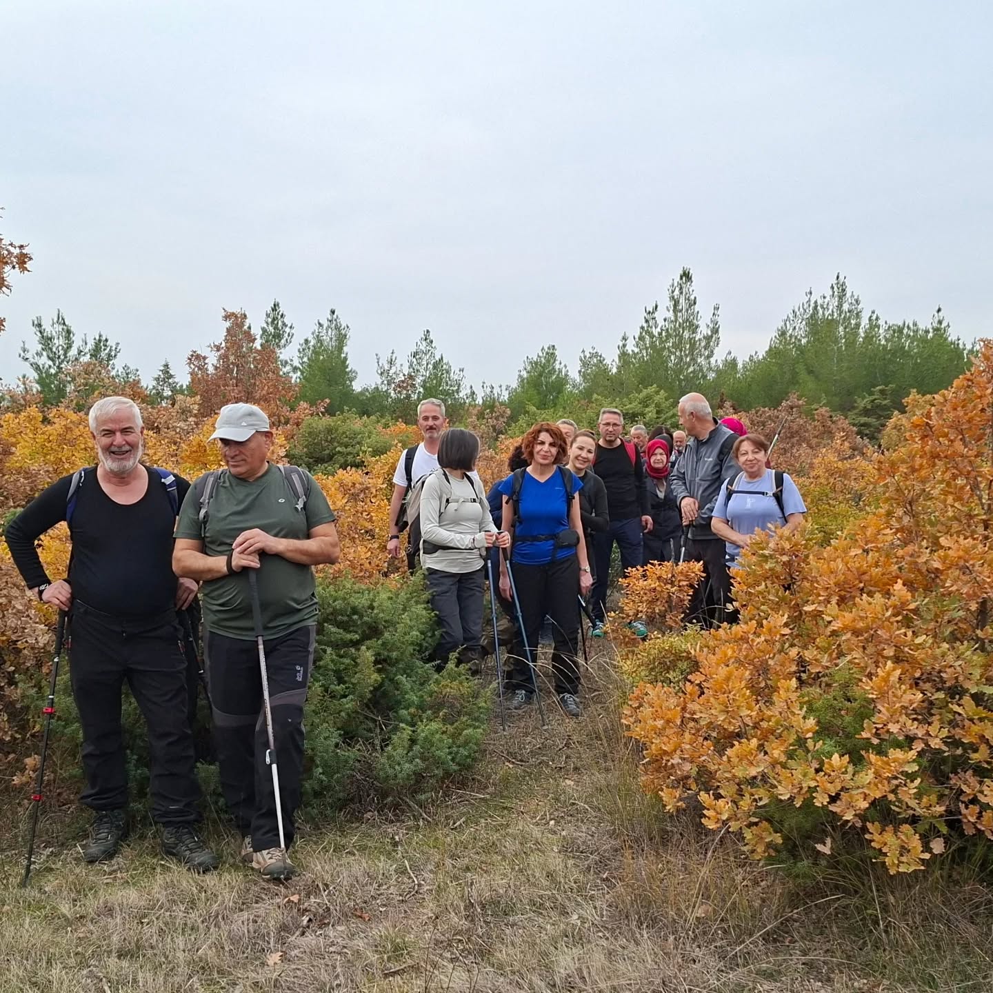 586864940 18331867378213190 2703364011501091563 N