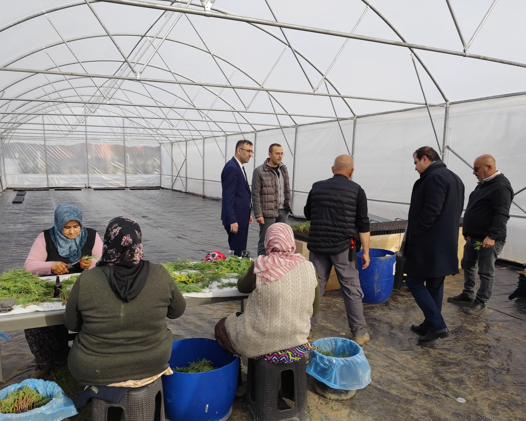 587531428 122186107802544242 5507819756107238610 N