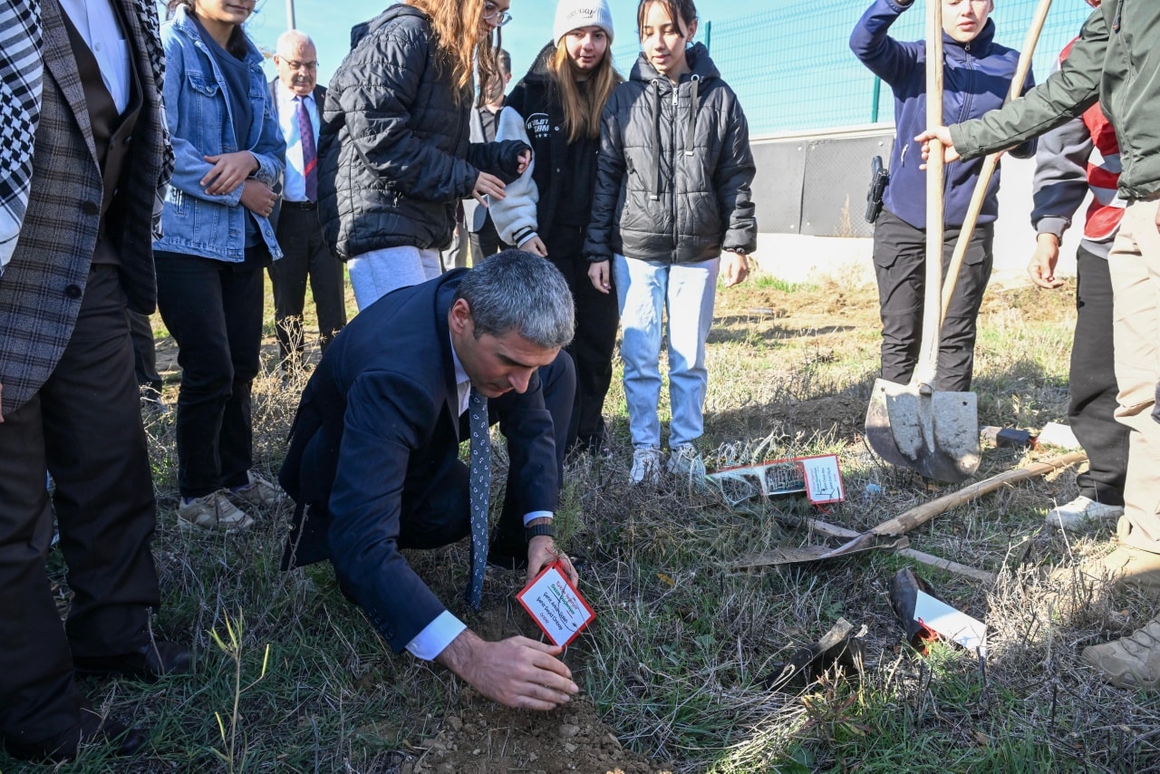 588429465 1155383853432482 1840312616916183499 N