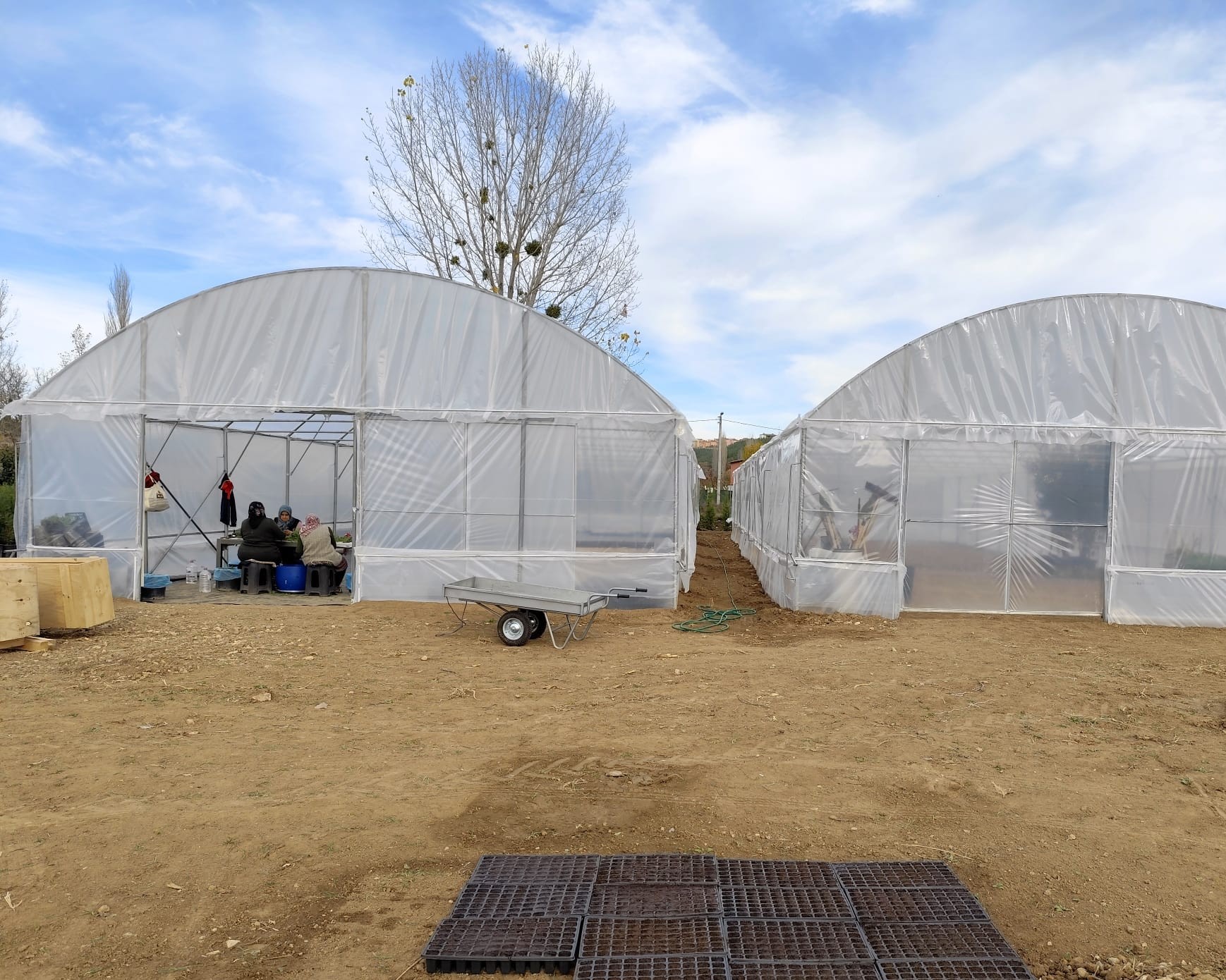 588812985 122186108018544242 3854917084742713270 N